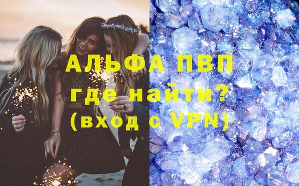 индика Медвежьегорск