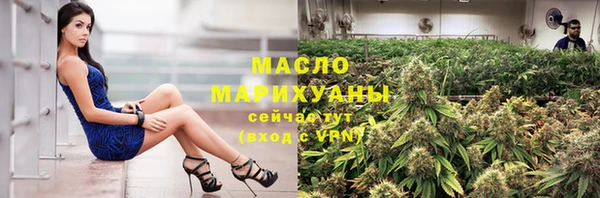 индика Медвежьегорск